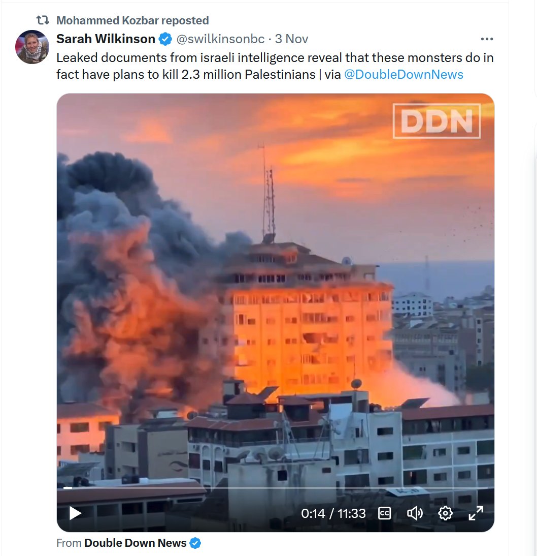 habibi tweet media