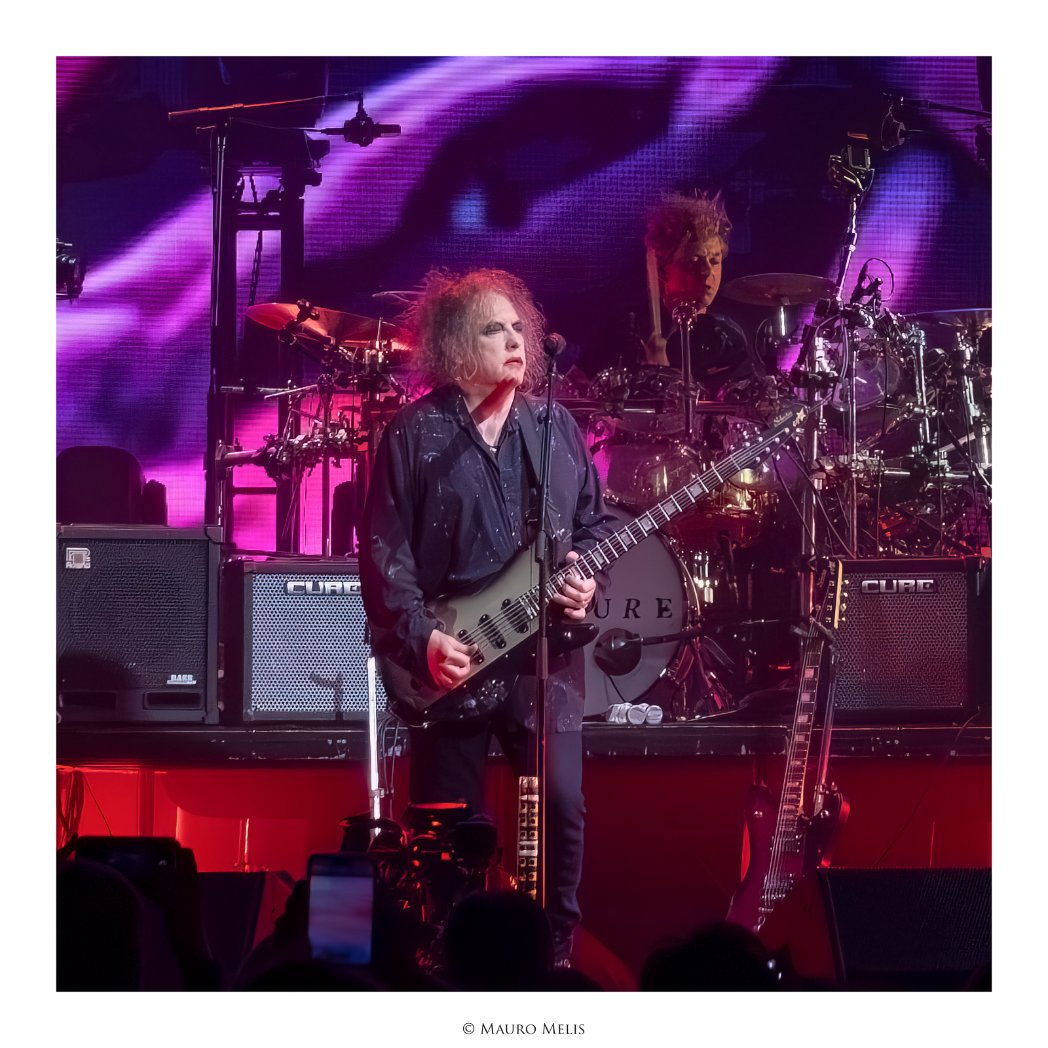 MauroMelis tweet media