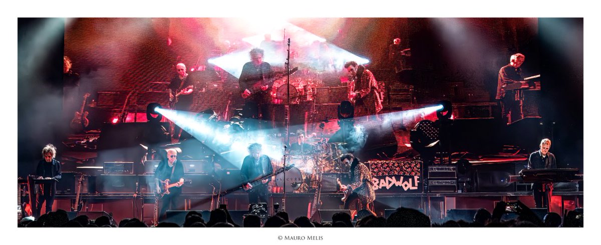 MauroMelis tweet media