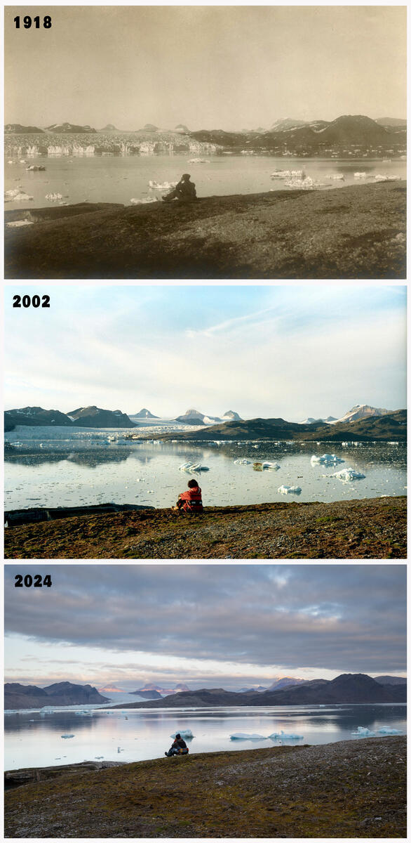 Greenpeace Aotearoa tweet media