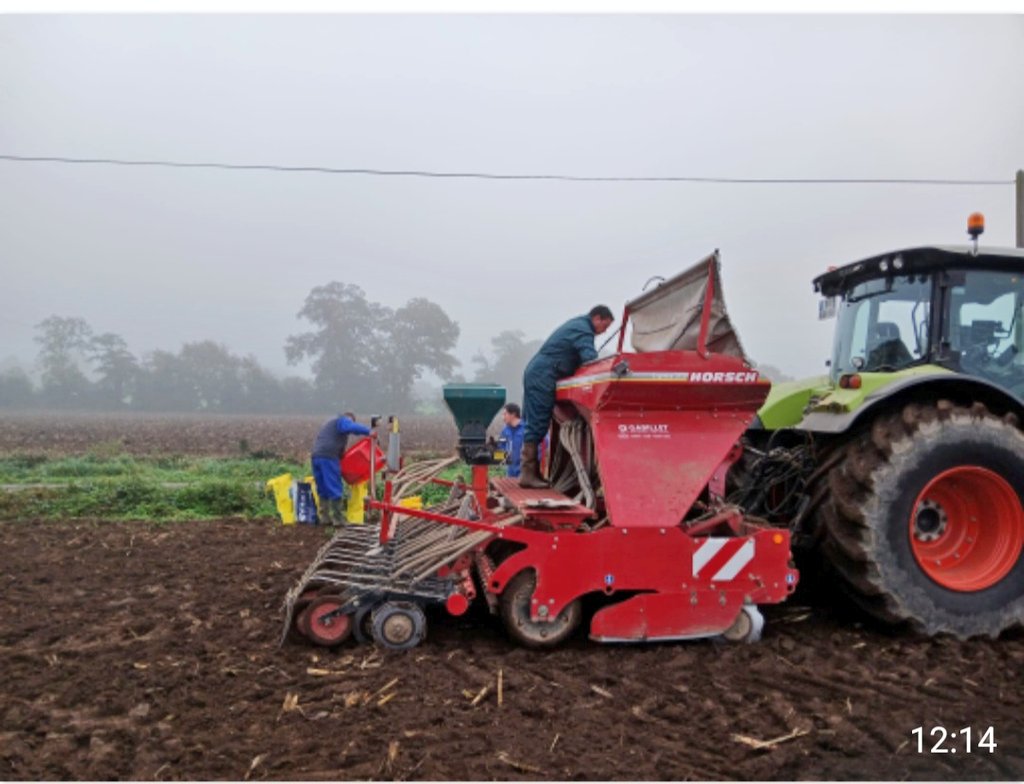 Aujourd'hui mise en place d'une plate-forme d'essai variétés de #blé et #orge
Avec <a href="/EuredenGroup/">Eureden</a>  et un temps typiquement breton
