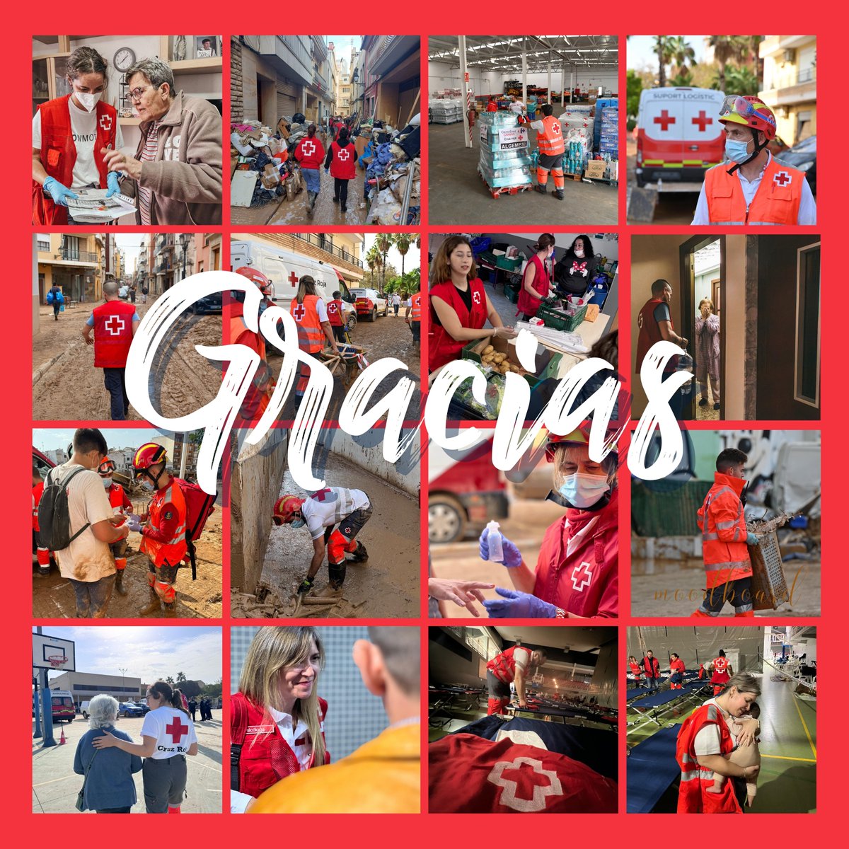 #GraciasVoluntariado 

#DANA