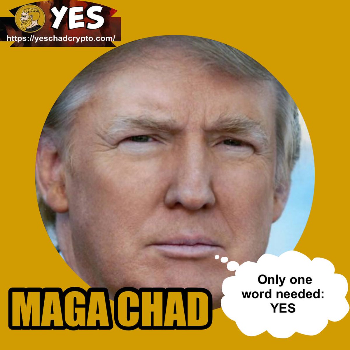 Today is a historic day for Chads in the United States 🔥

$YES #MAKEYESGREATAGAIN