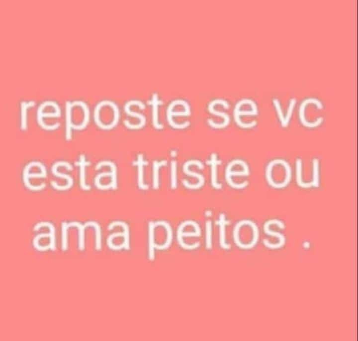 perfil dedicado a gatinhos e peitos (@odeiootaco) on Twitter photo 