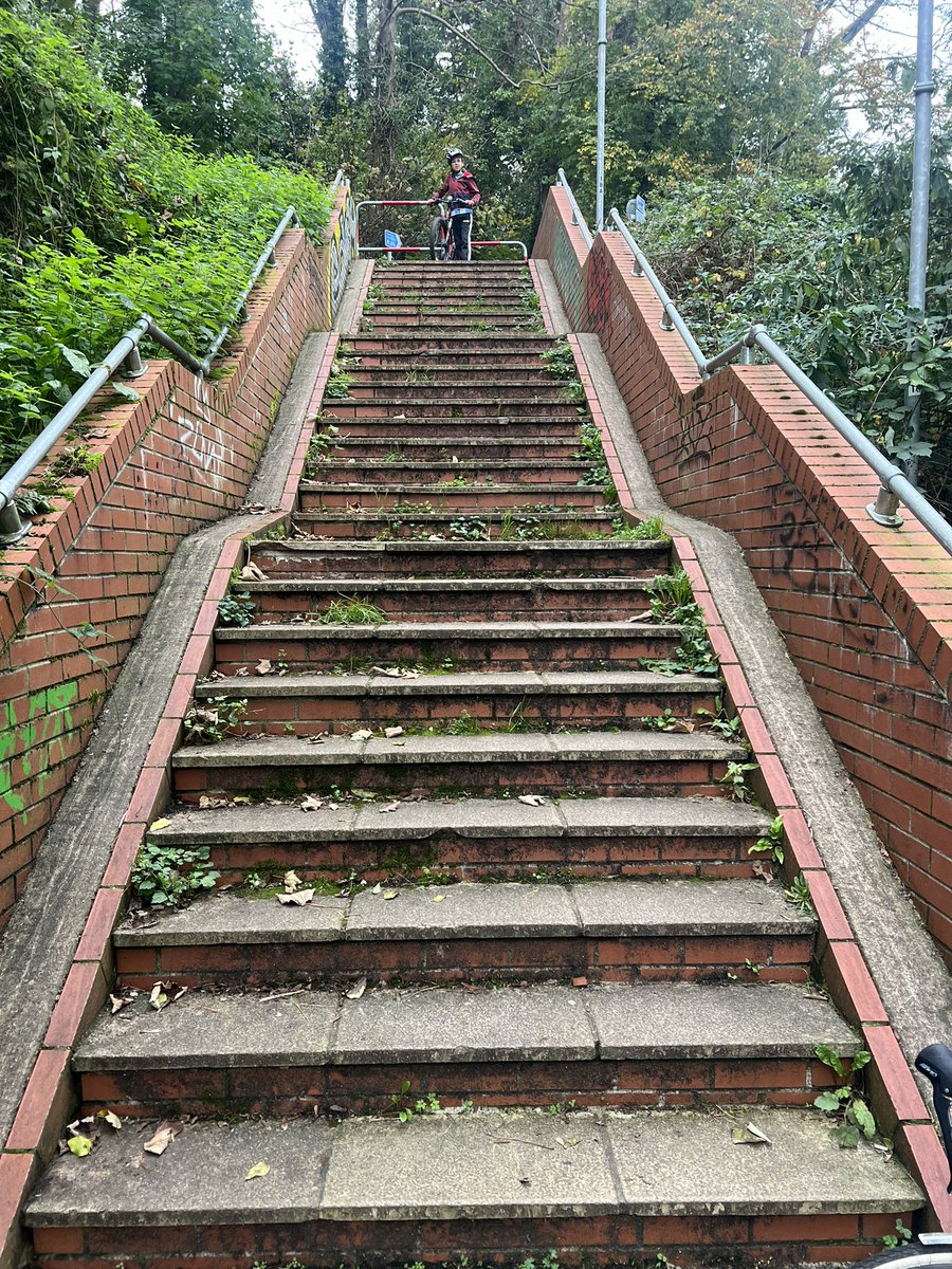 Believe it or not this is a section of the cycle path leading into Torquay (behind Torre station). It’s this or the busy Newton Road - not sure my son would be safe using either!