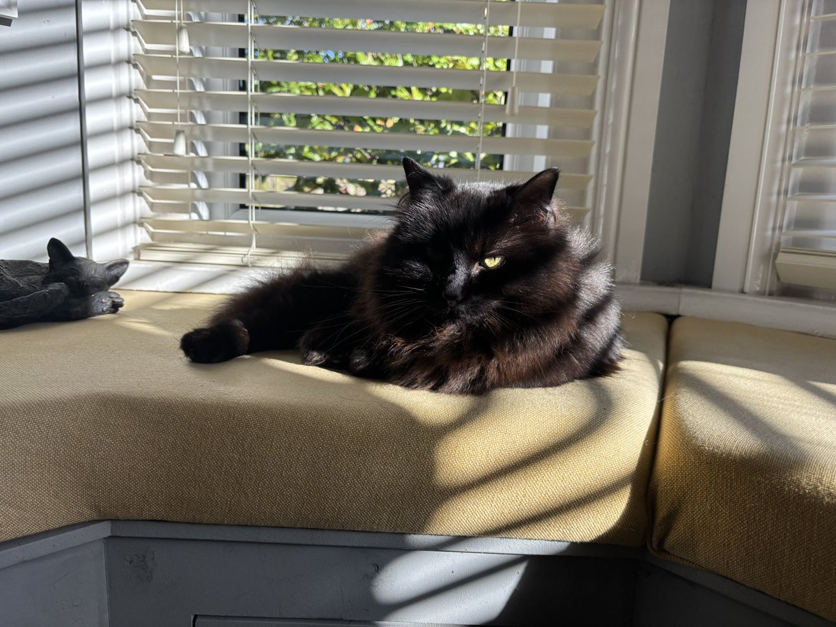 Martin Dixon tweet media