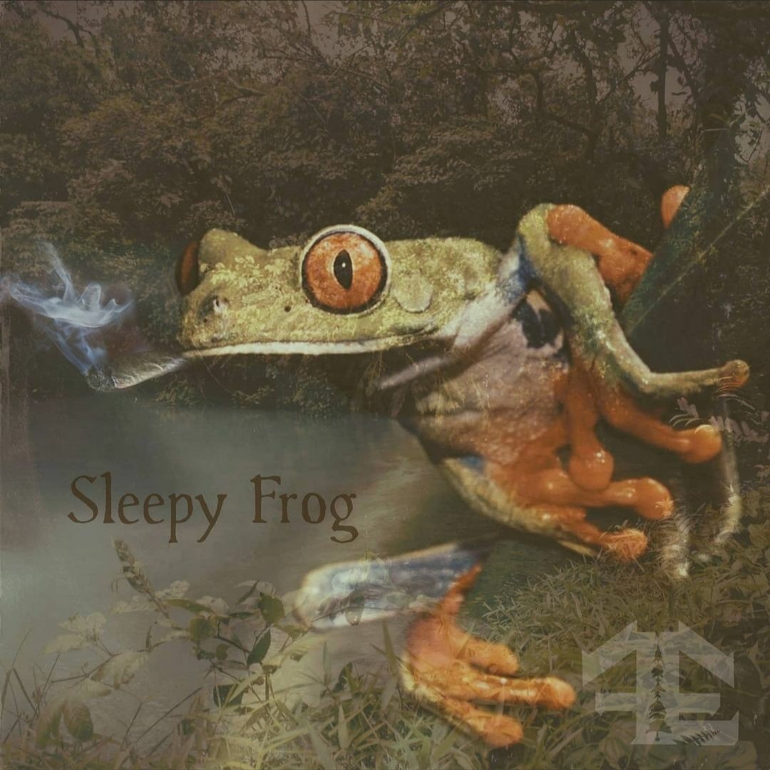 #fuzzyed #thefuzzyedge #sleepyfrog #lounge #chill #beats #instrumental