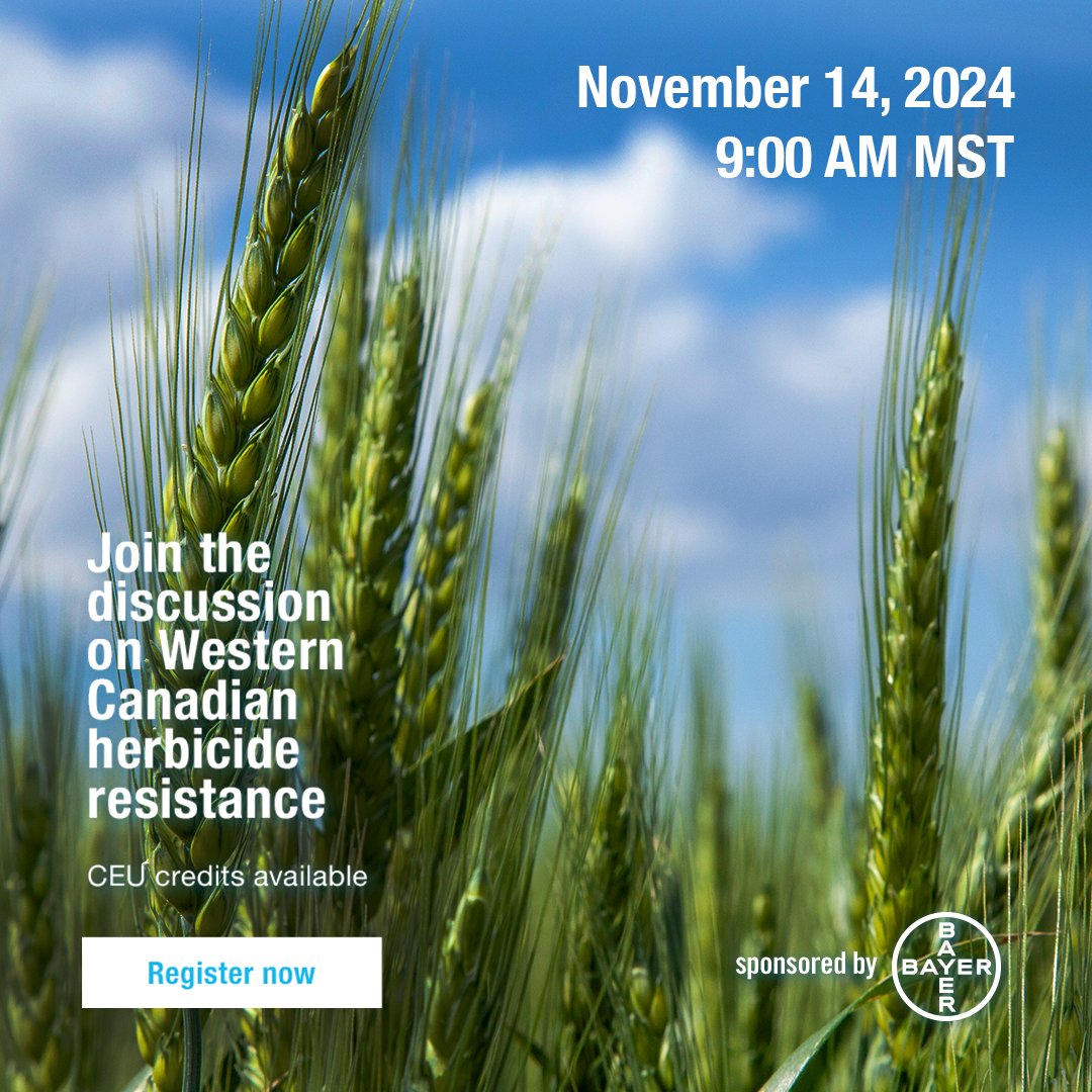 Crop Science Canada (@bayer4cropsca) on Twitter photo Stay one step ahead of herbicide resistance, #WestCdnAg.
Join Dr. <a href="/charlesmgeddes/">Charles Geddes</a>, <a href="/roars_rumblings/">Rory Cranston</a> and <a href="/MikePalmier/">Mike Palmier</a> to learn about new and suspected resistant weeds and strategies to manage rising threats like wild oats and kochia.
Register: bit.ly/3CcO9ud Stay one step ahead of herbicide resistance, #WestCdnAg.
Join Dr. <a href="/charlesmgeddes/">Charles Geddes</a>, <a href="/roars_rumblings/">Rory Cranston</a> and <a href="/MikePalmier/">Mike Palmier</a> to learn about new and suspected resistant weeds and strategies to manage rising threats like wild oats and kochia.
Register: bit.ly/3CcO9ud