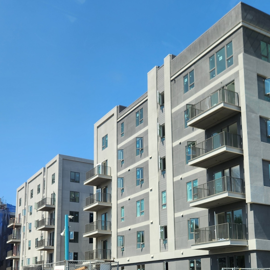 MVE Architects tweet media