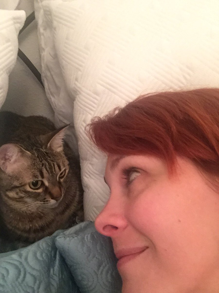HollywoodHiDee's tweet photo. #RIP my sweet Ellie. The most loving cat that anyone could hope for. Your loss is going to leave a big hole in our home. You were everything that is good in this world, but I know you’re in heaven chasing birds and not suffering anymore. #RainbowBridge 💔 https://t.co/AZpHeS13cr