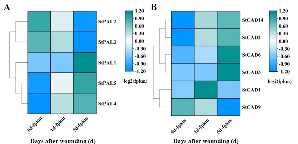 Plant Physiology tweet media