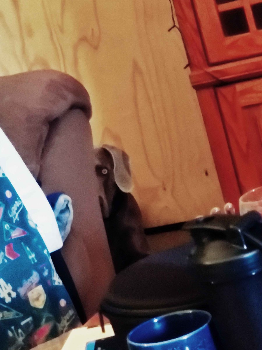 🦇Rosseamitore | ENVtuber tweet media