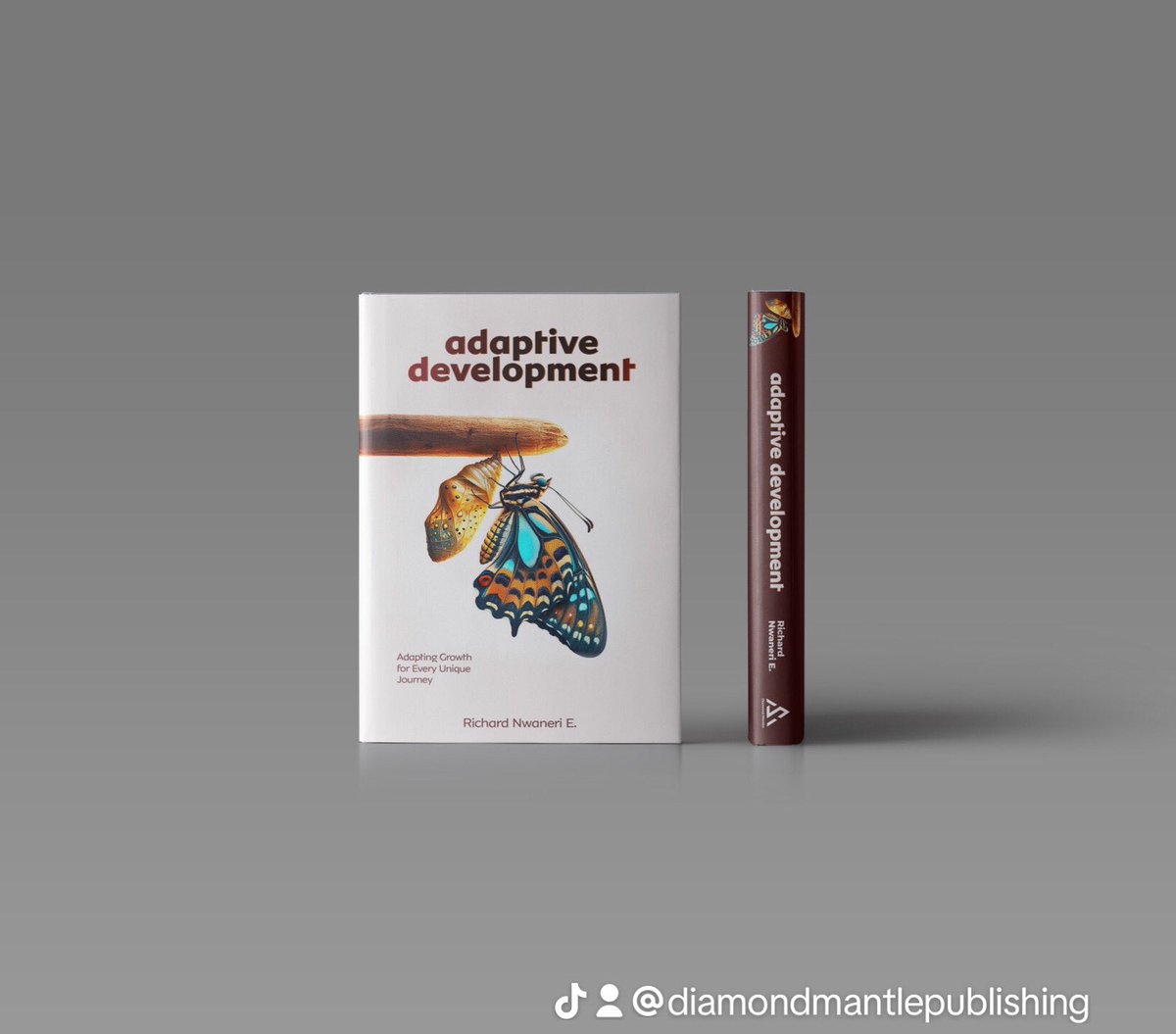 DiamondMantle's tweet image. In times of uncertainty, our biggest opportunity is to grow, adapt, and reach new heights. Adaptive Development shows you how to turn challenges into stepping stones, using chaos as a catalyst for success. 

Embrace the unknown and rise above!

#AdaptiveDevelopment #GrowthMindset