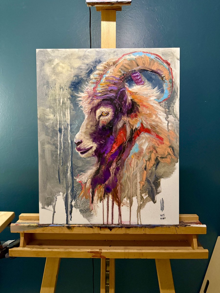Colorful Goat Study - 16x20 oil on panel