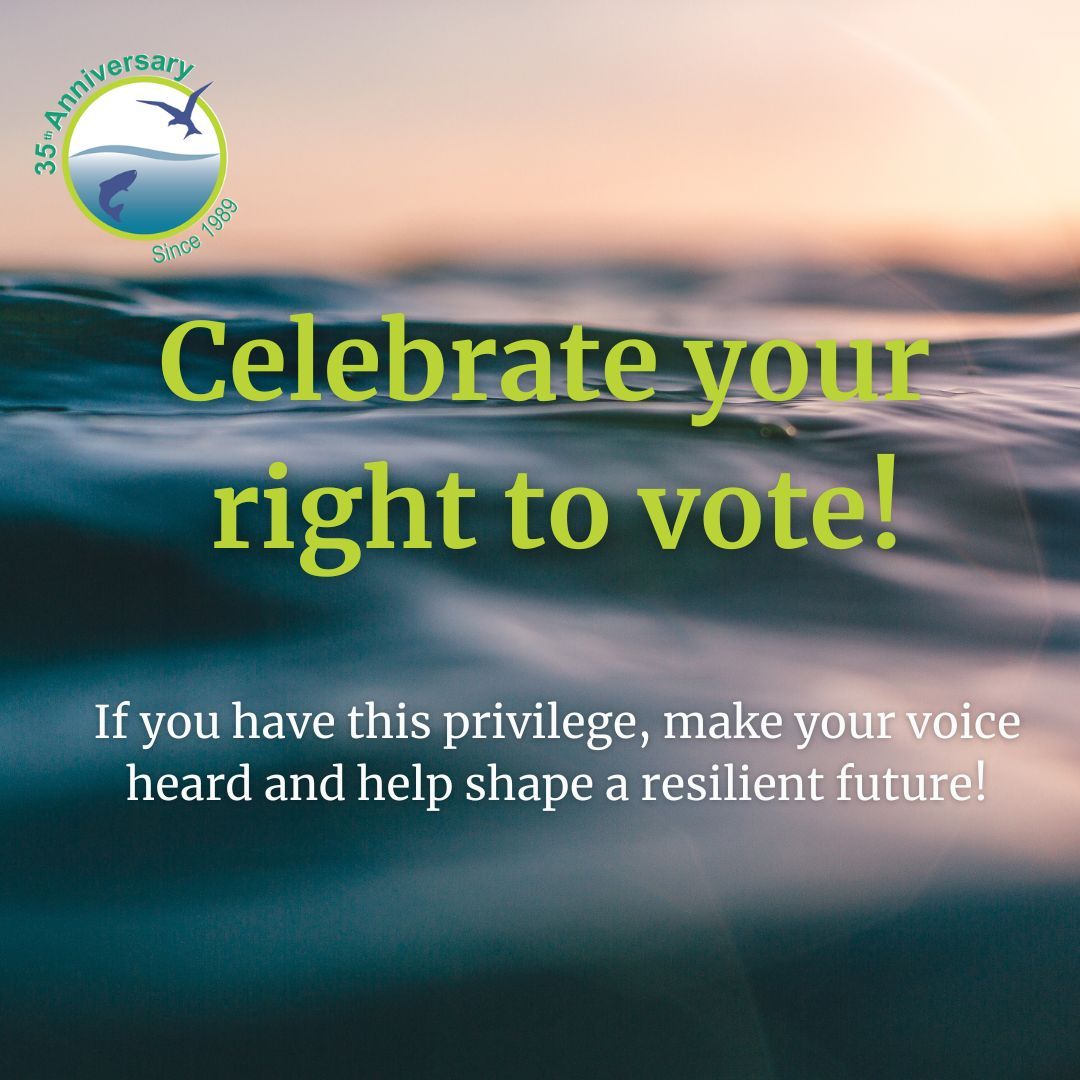 Happy Voting Day! Voting is a right, a privilege, and a responsibility, but many cannot—non-citizens, those under 18, and even the wildlife that depends on our choices. If you’re able, make your voice count today! #getoutandvote #vote #CleanWater #CascoBay