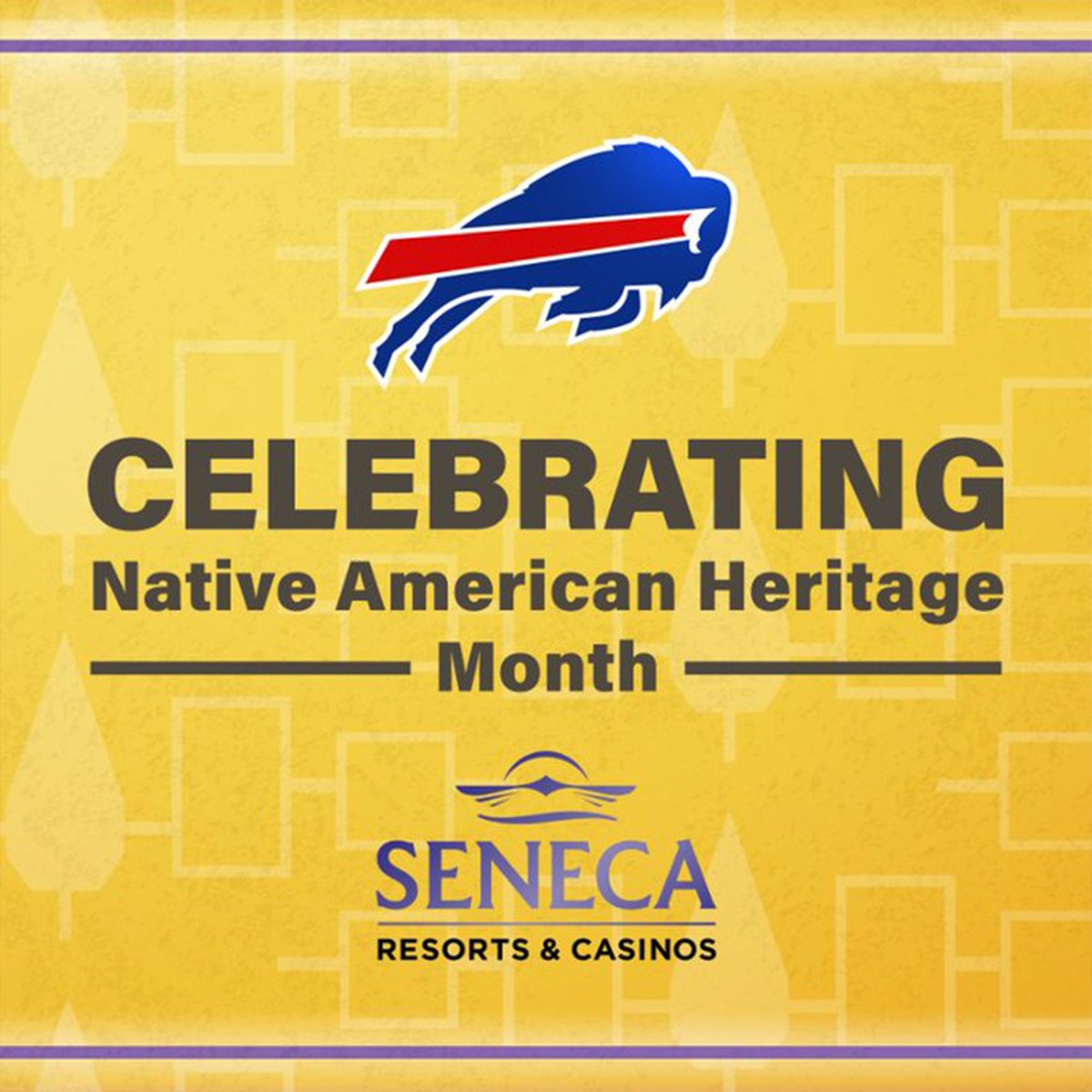 BuffaloBills's tweet photo. Honoring and celebrating the beautiful and rich culture of the Native American community.

@SenecaCasinos | #BillsMafia