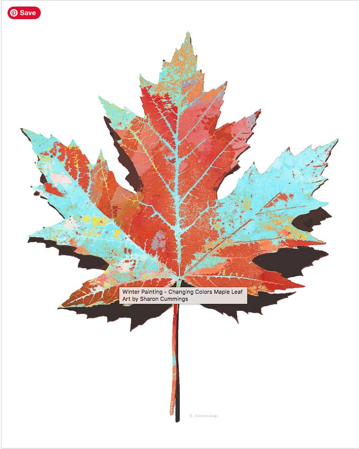 Terracegallery's tweet image. Changing Colors Maple:  fineartamerica.com/featured/chang… #maple #mapleleaf #mapleleafs #tree #trees #canada #canadian #fall #autumn #fallcolors #homedecor #interiordecor #buyintoart by #SharonCummingsArt