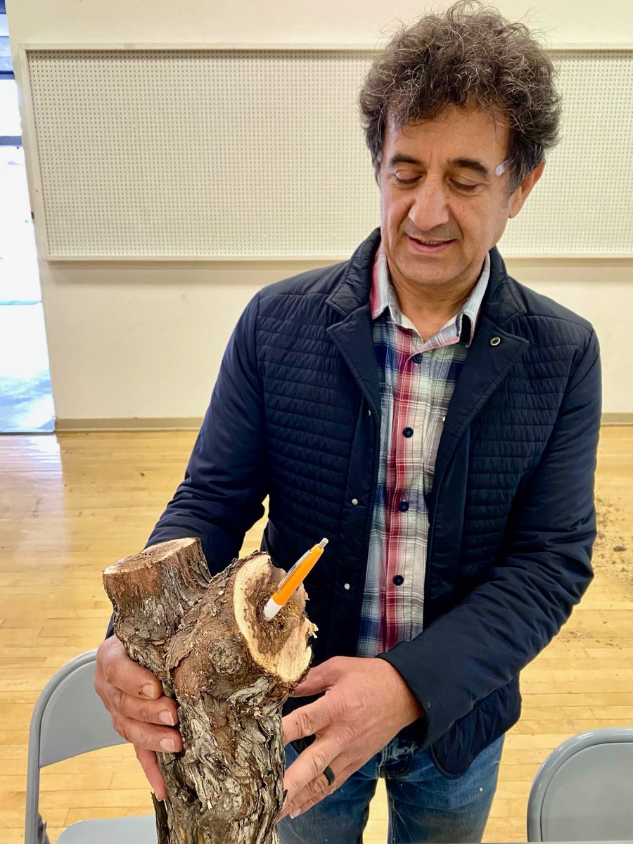 I just completed a workshop with <a href="/LodiGrower/">Lodi Wine Growers</a> on how to examine grapevine for trunk diseases