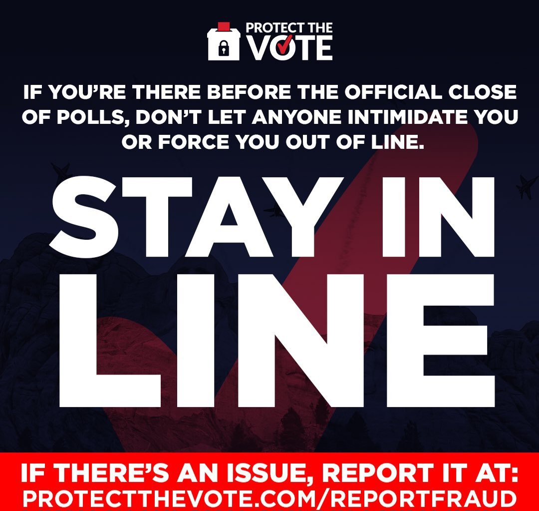 TheRealCyberelf's tweet image. GO VOTE, UNITED STATES!

#VOTE #StayInLine