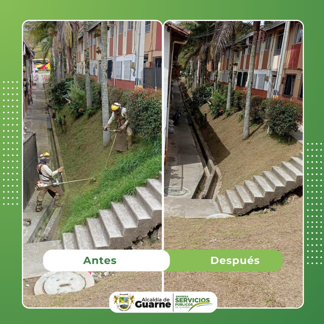 e_guarne's tweet photo. Continuamos trabajando fuertemente en la poda de las zonas verdes urbanas de nuestro municipio🍀.
Hoy compartimos unas fotos del antes y después en el sector de San Antonio de la localidad🍃, reafirmando nuestro compromiso con la sostenibilidad y limpieza♻.
.
#ESPGuarne #Guarne https://t.co/0s5UO36fg0
