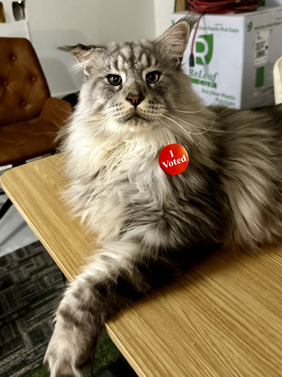 Catzen Coffee tweet media