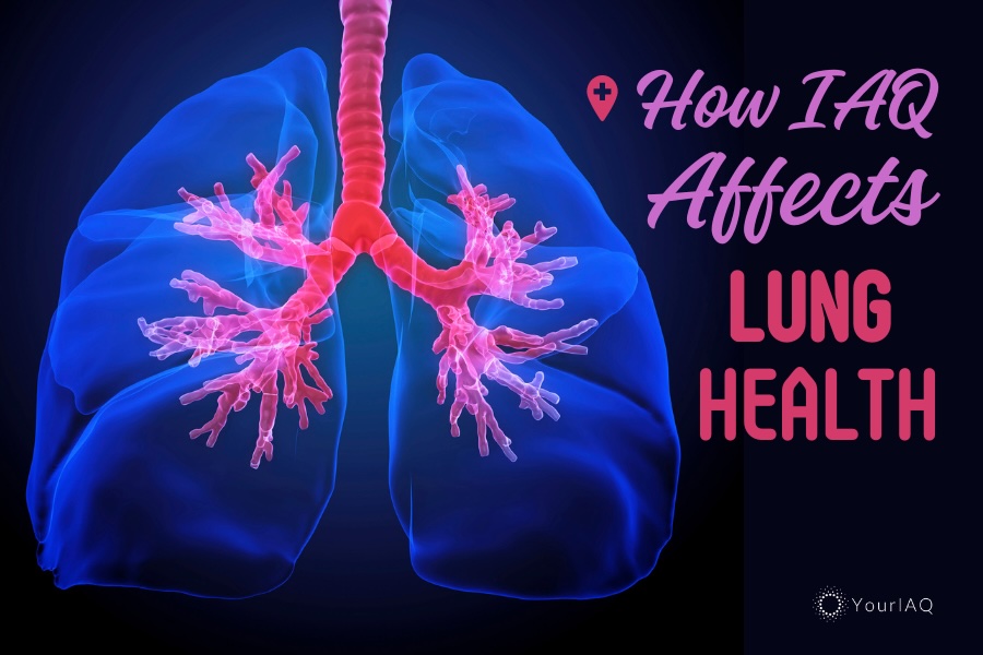 yourIAQ's tweet photo. Our lungs are resilient organs, but they’re not invincible. The air we breathe, especially indoors, plays a crucial role. 🩺🏥 Protect your lung health: https://t.co/YLYLkP5UxL

#HealthyLiving #HealthyHome #AirPollution #AirQuality #IndoorAir #IndoorAirQuality #IAQ https://t.co/8c5osVmhNN