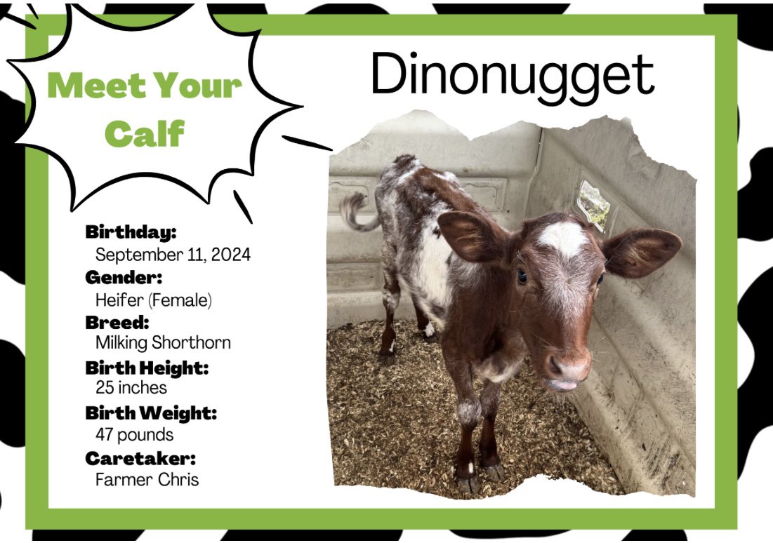brit_starnes's tweet photo. Vote Dinonugget! #tmgenius https://t.co/f3rzkawQC8