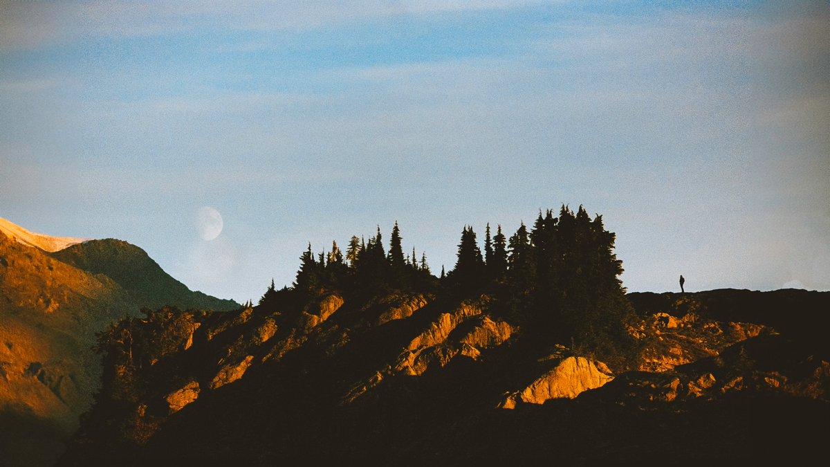 johncwingfield's tweet photo. Autumn in the Northwest 🍂 https://t.co/bIgTzXozk4