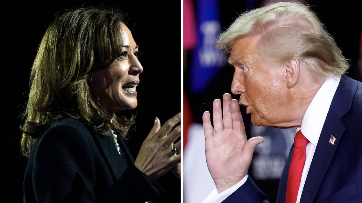 Mario Nawfal (@marionawfal) on Twitter photo 🚨🇺🇸DEMS RATTLED: BETTING MARKETS SHOW MASSIVE LEAD FOR TRUMP 
Prediction markets have Trump up by 38 points over Harris, with platforms like Polymarket, Predict It, and Robinhood heavily favoring a Republican victory.
Experts are sounding alarms over foreign cash flooding the 🚨🇺🇸DEMS RATTLED: BETTING MARKETS SHOW MASSIVE LEAD FOR TRUMP 
Prediction markets have Trump up by 38 points over Harris, with platforms like Polymarket, Predict It, and Robinhood heavily favoring a Republican victory.
Experts are sounding alarms over foreign cash flooding the