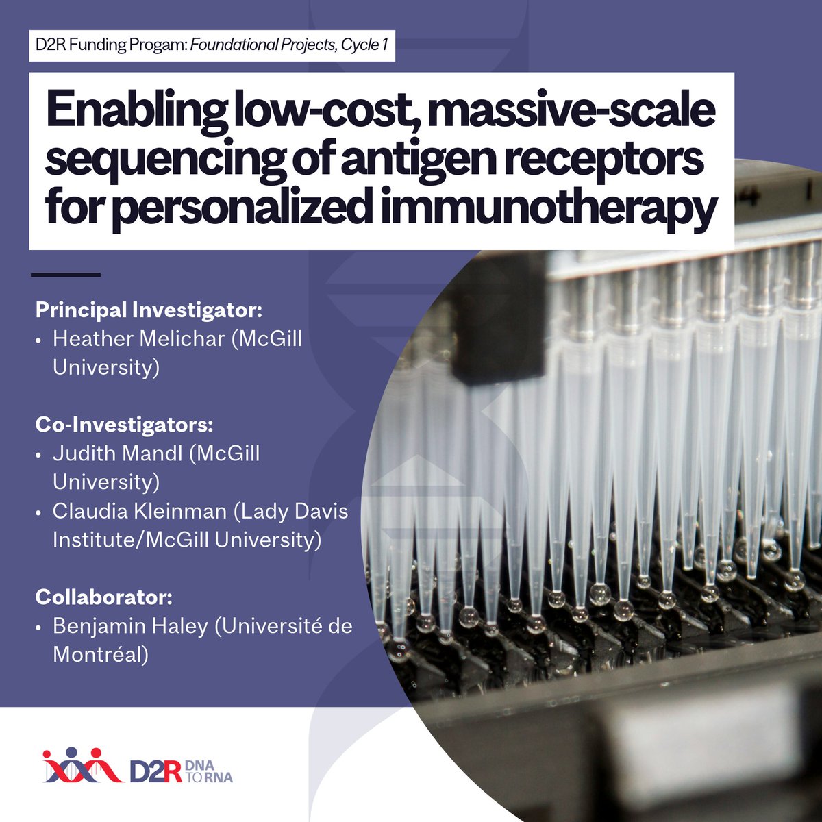 🔊 #D2RProjectSpotlight Led by Heather Melichar, <a href="/mcgillu/">McGill University</a>.

This project proposes new technology that will allow a massive increase in the number of antigen receptors that can be sequenced at once. 

🔗Learn more: buff.ly/3YRC86e 

#DNA2RNA #Immunotherapy <a href="/UMontreal/">Université de Montréal</a>