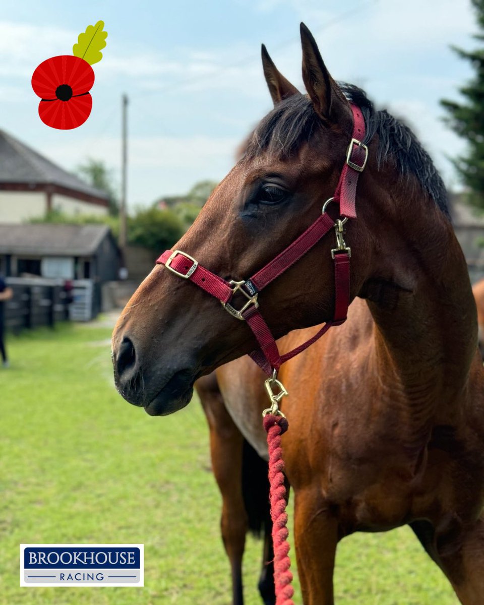 Brookhouse Racing tweet media