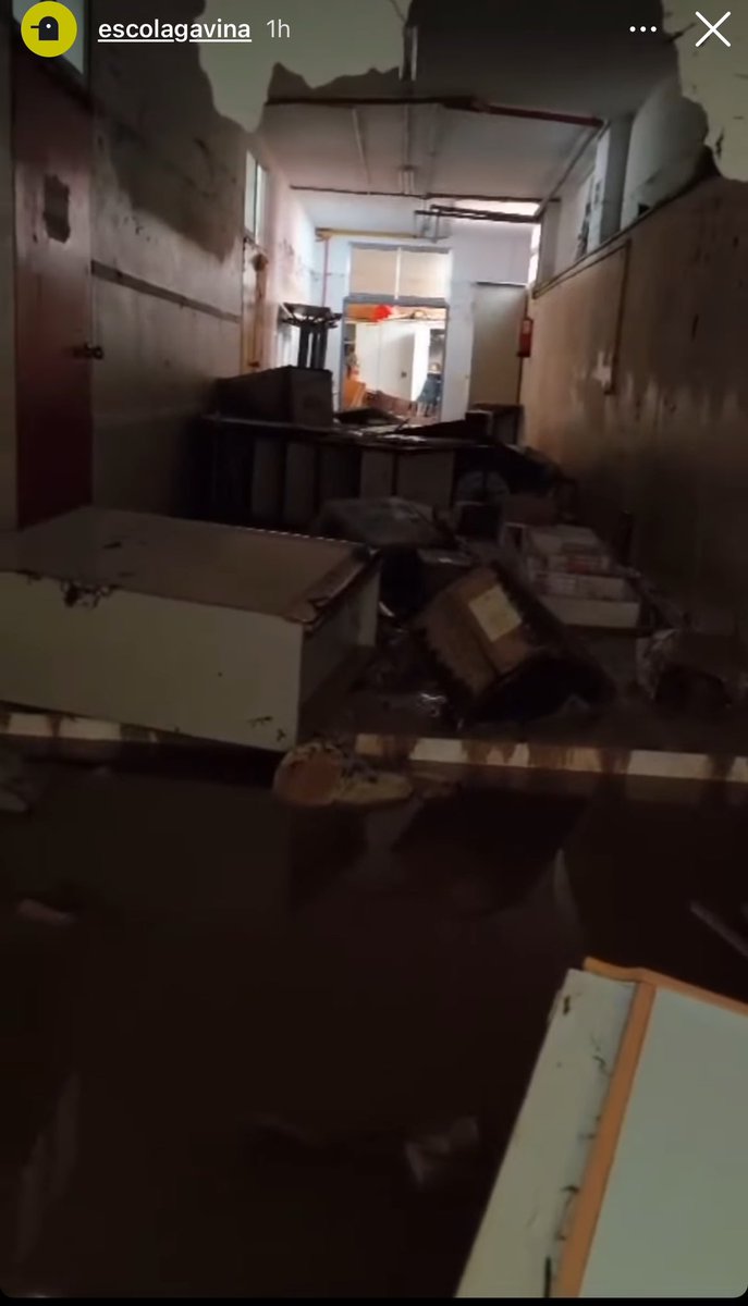 L’Escola Gavina. Una de les pioneres de l’ensenyament en valencià. Hui mateix.