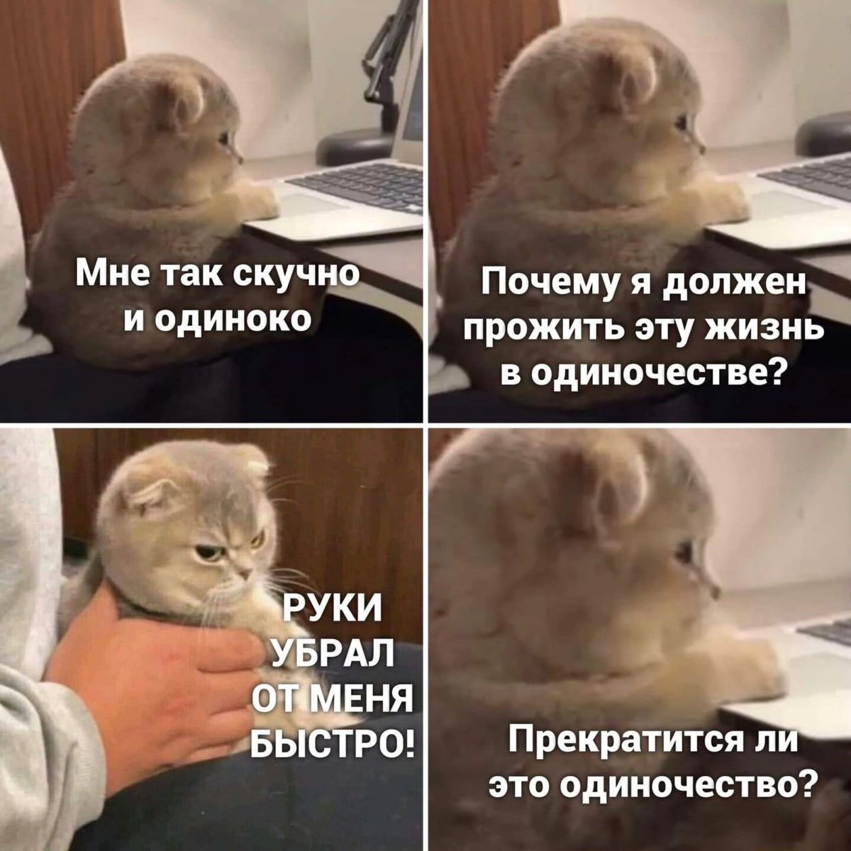 Домовенок tweet media
