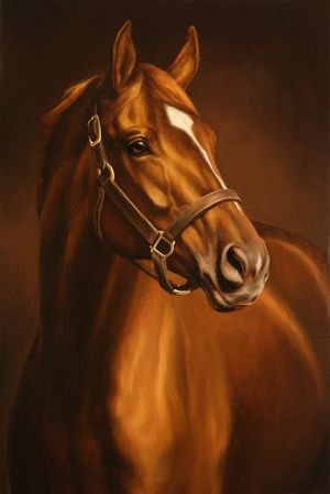 MarcelaErcia's tweet photo. 🐎#TEAMSTALLION 
🪺FAMILY🪺
🤠@doc_mazz 

@PaulTwigg4
@Lea_Dhai
@suluttoday
@MarcelaErcia
@EvilDoma
@0_0_5_1
@Da__Eliz
@carher0663
@W1DY4_N_11
@MAGA_Meme_Man
@JehovaJireh__
@Vinto_Brass
@sami86pilang
@SenaGusti_03
@tnmuda
@kn_jui
@DennyDSP77
@Tycoon01_2020A
@satosato1173
@donald_army
@Aa_ban1
@nbea_h
@Zar_43
@Soraya6147
@OmarOmafranco
@MotherStar2023
@Menio777
