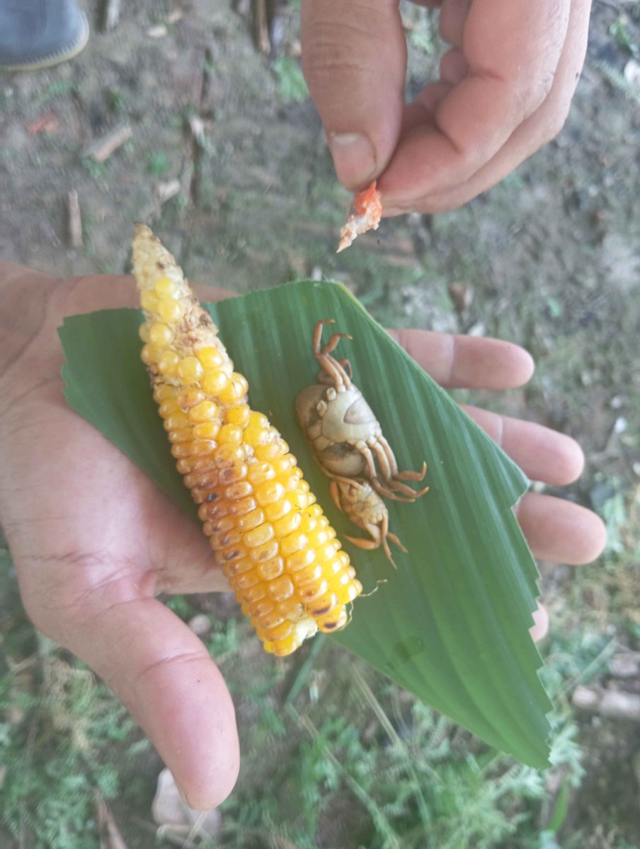 Almuerzo en el Oriente