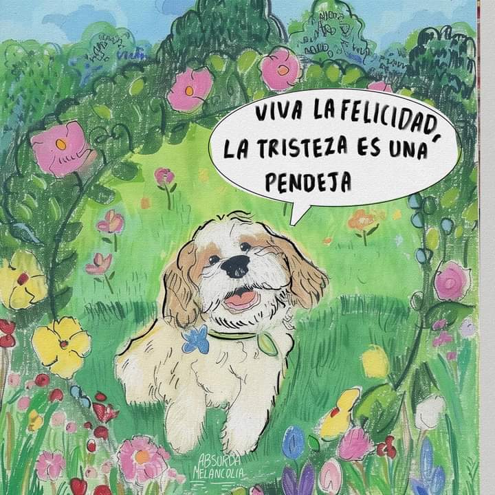 absurdamela's tweet photo. https://t.co/KUpT0cmVTy