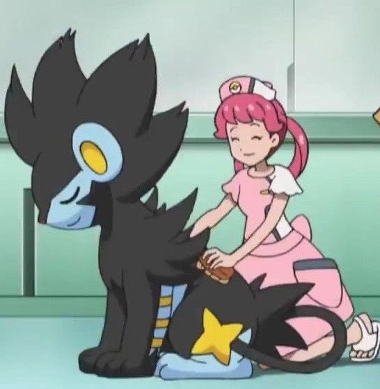 brush the Luxray