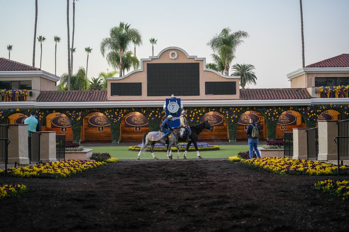 Jim Gazzale (@jimgazzale) on Twitter photo About to hit the last leg of my Breeders’ Cup trip after a few pit stops. Very proud of the work we did <a href="/PastTheWire/">PastTheWire.com</a>!
80k YT views in the last week, 100s of new subscribers + great content from <a href="/jonathanstettin/">#P6K</a> <a href="/SetteBetterDays/">Geo Sette</a> <a href="/ErnieBPhoto93/">Ernie Belmonte</a> <a href="/52ShadesOfHay/">Maribeth Kalinich</a> <a href="/mileandafurlong/">Amber Joyce</a> About to hit the last leg of my Breeders’ Cup trip after a few pit stops. Very proud of the work we did <a href="/PastTheWire/">PastTheWire.com</a>!
80k YT views in the last week, 100s of new subscribers + great content from <a href="/jonathanstettin/">#P6K</a> <a href="/SetteBetterDays/">Geo Sette</a> <a href="/ErnieBPhoto93/">Ernie Belmonte</a> <a href="/52ShadesOfHay/">Maribeth Kalinich</a> <a href="/mileandafurlong/">Amber Joyce</a>
