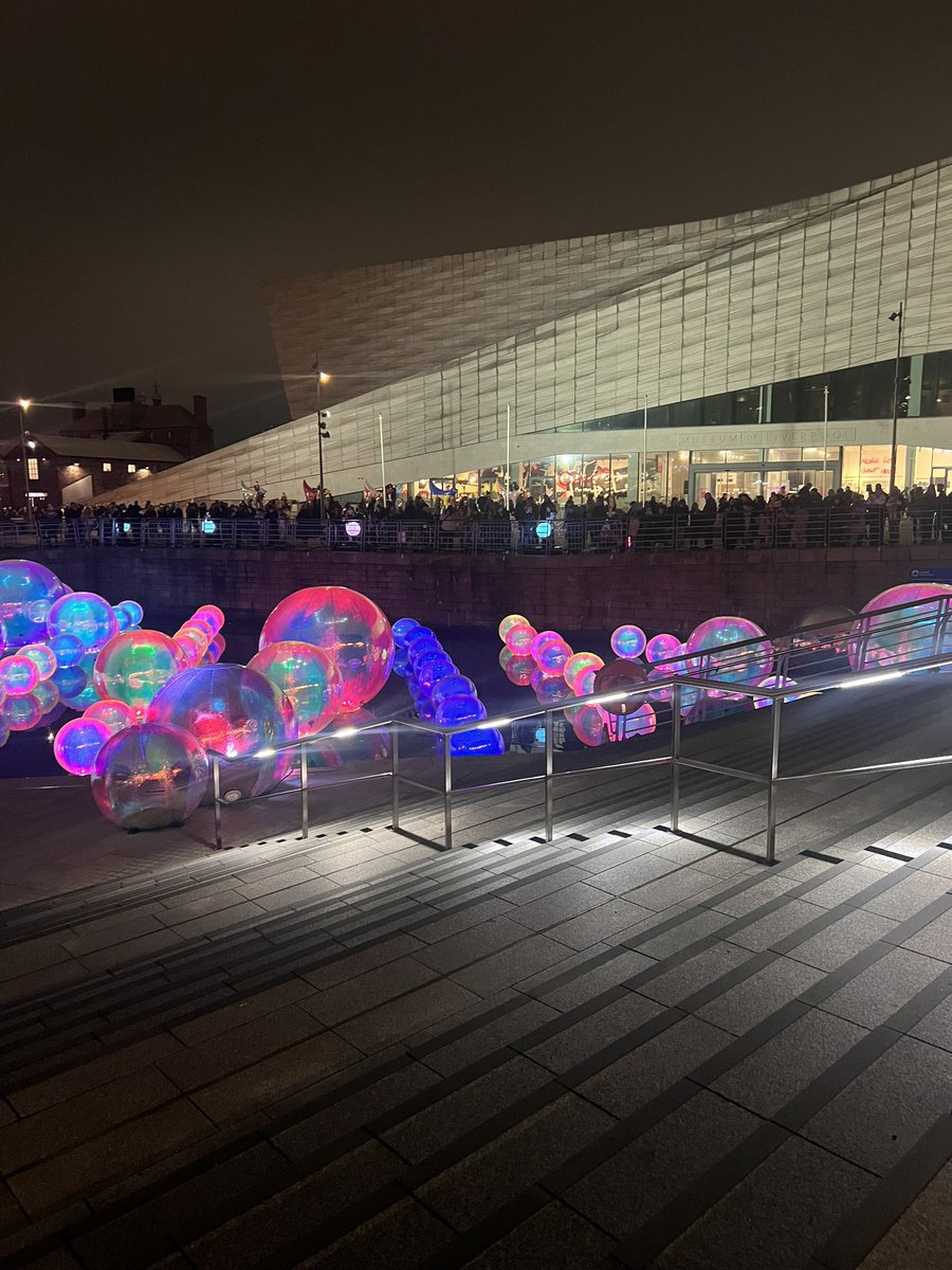 Sara Sartorius tweet media