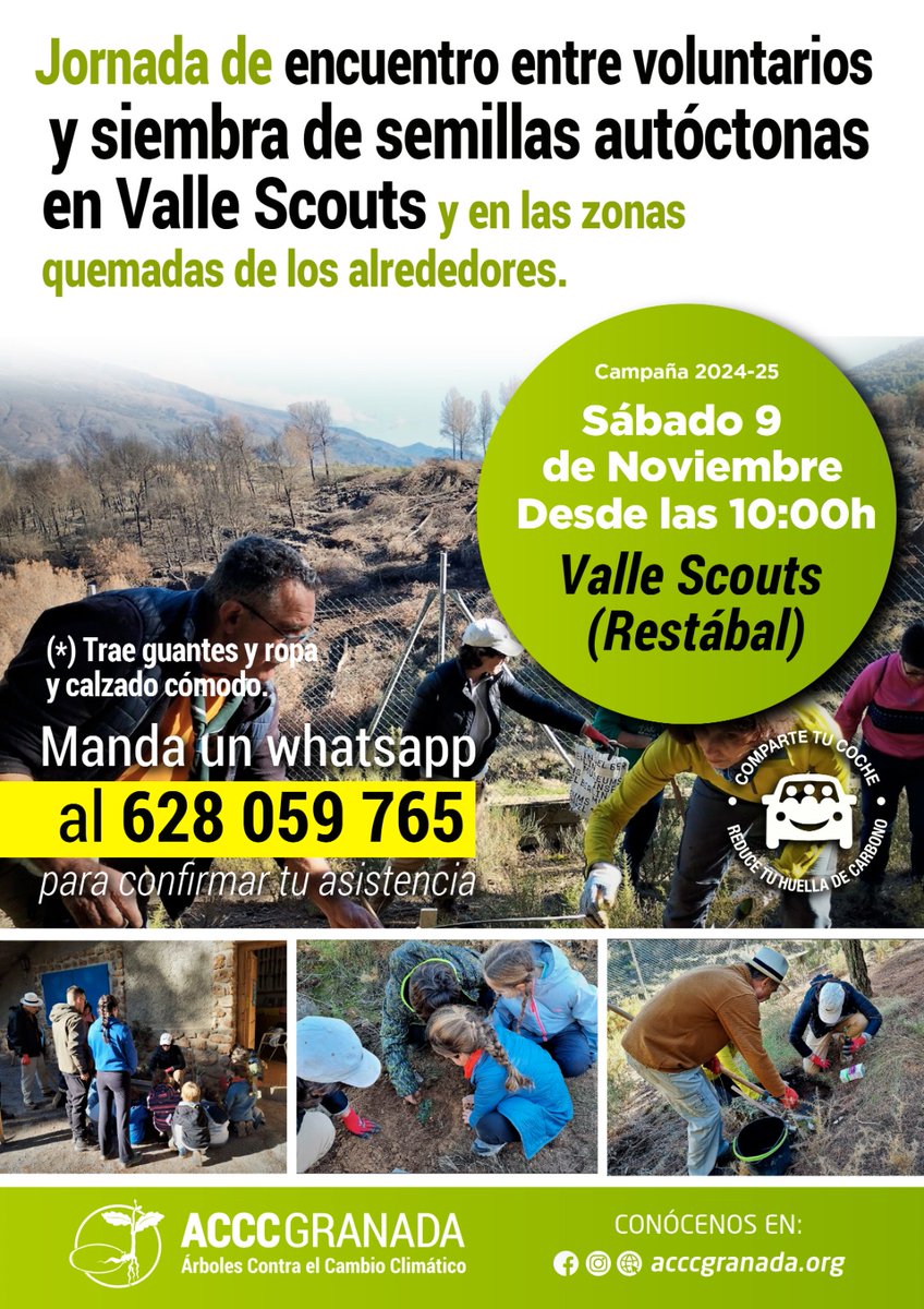 🌲🌲Árboles Contra el Cambio Climático Granada🌳🌳 (@acccgranada0) on Twitter photo 