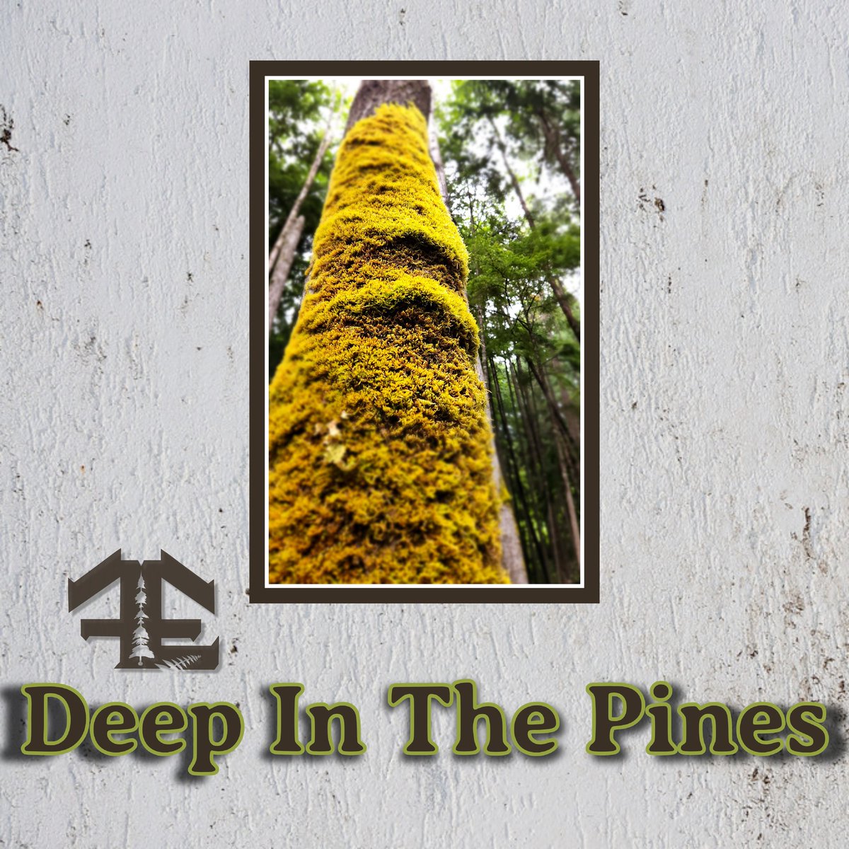 #fuzzyed #thefuzzyedge #deepinthepines #hiphop #lounge #beats #instrumental