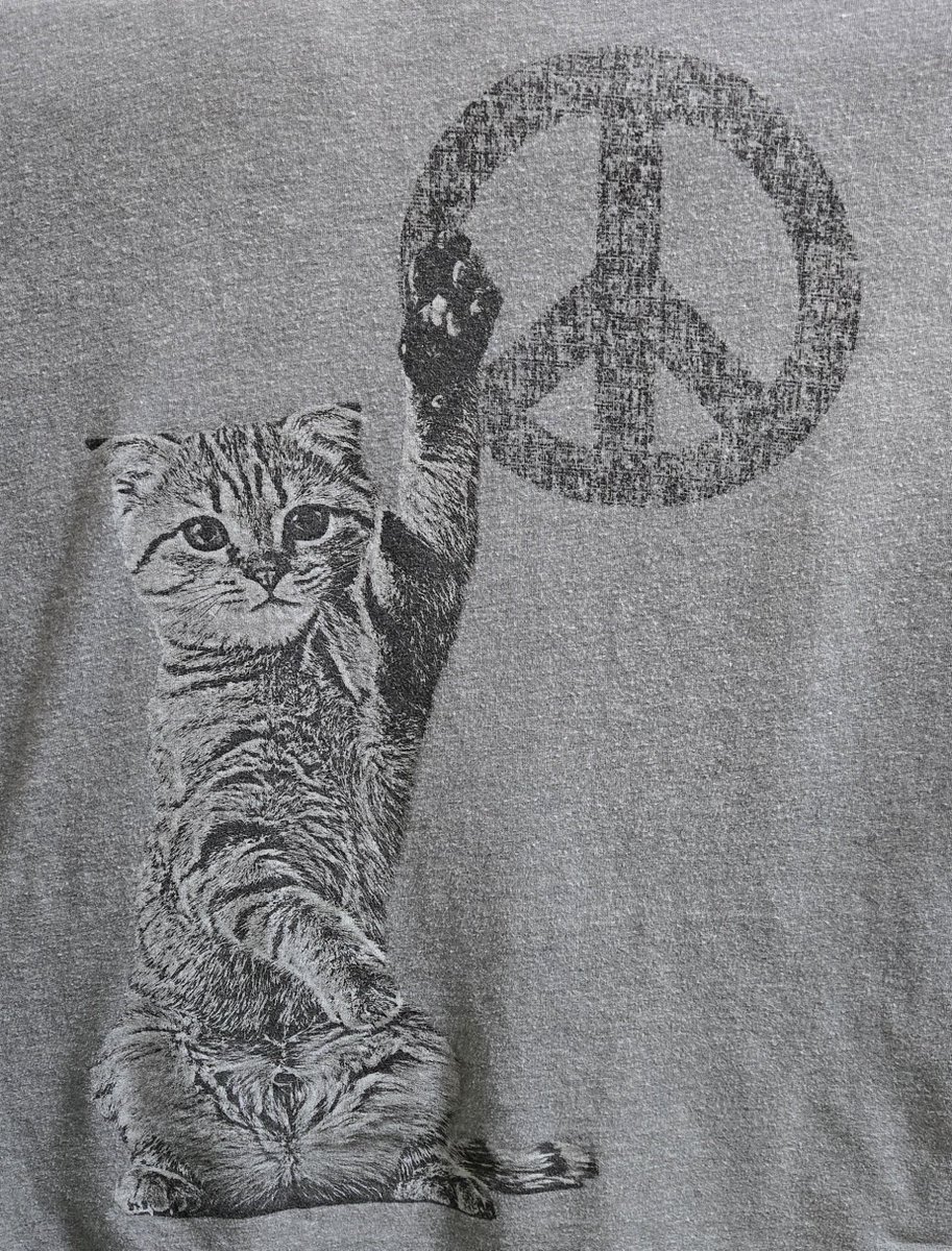 WinkProgress's tweet photo. #CatsForKamala https://t.co/q7WGsCcxXY