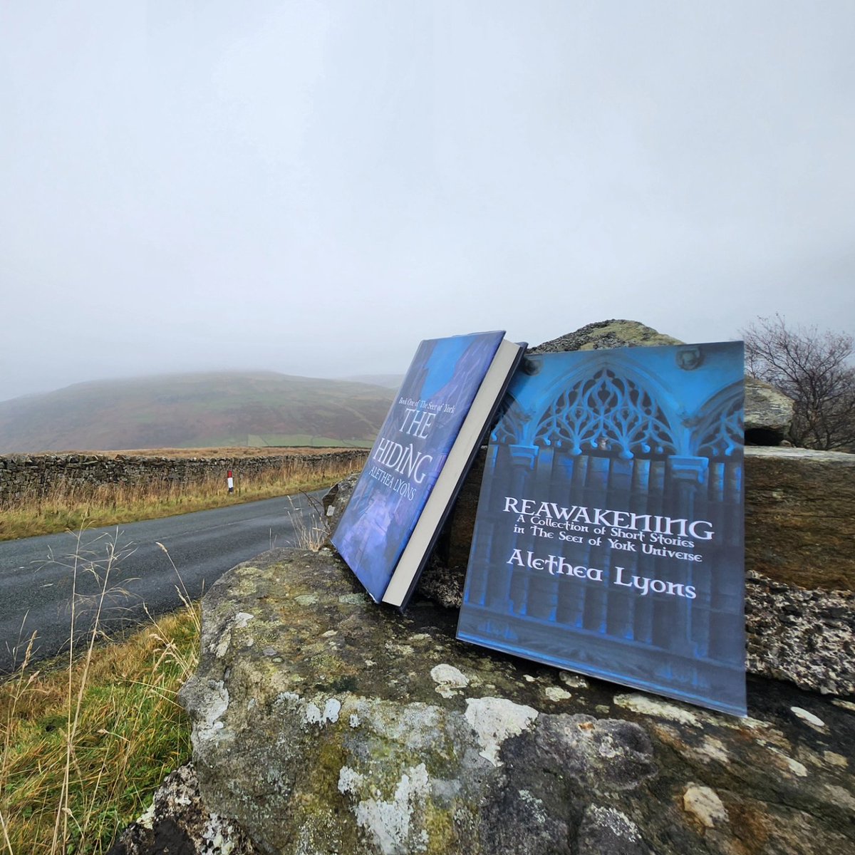 AletheaRLyons's tweet photo. Some sort of cover reveal teasers for The Somnia. I love it when the mists of Yorkshire come to meet me.
#CoverRevealTeaser #Fantasy #SFF #DarkFantasy #TheSomnia #SeerOfYork #CoverArt https://t.co/eu7Ga9odDr