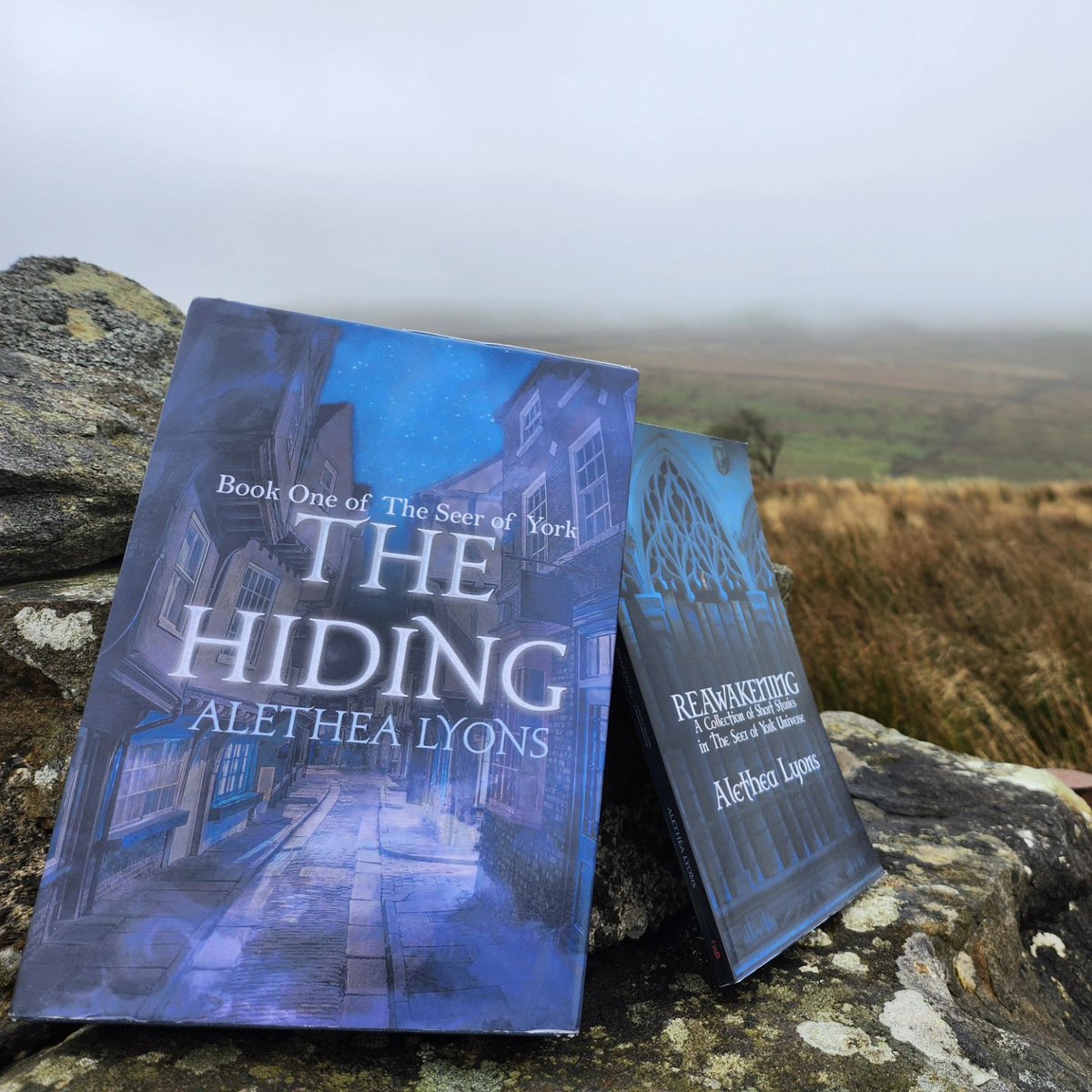 AletheaRLyons's tweet photo. Some sort of cover reveal teasers for The Somnia. I love it when the mists of Yorkshire come to meet me.
#CoverRevealTeaser #Fantasy #SFF #DarkFantasy #TheSomnia #SeerOfYork #CoverArt https://t.co/eu7Ga9odDr