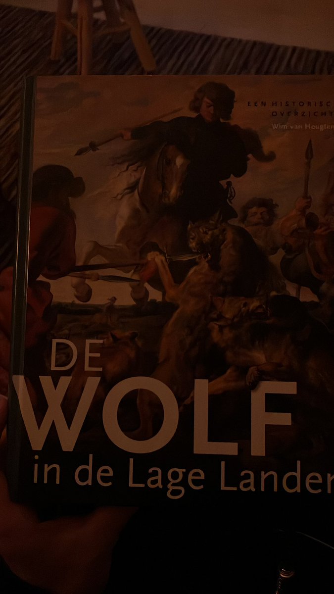 In de Middeleeuwen was er veel bijgeloof. Zo geloofden men in weerwolven en kregen gevangen wolven een proces, waarna ze tot de dood middels de galg werden veroordeeld. Ook werden wolven naast misdadigers opgehangen vanwege hun 'wolfse' karakter. Bizar om te lezen.