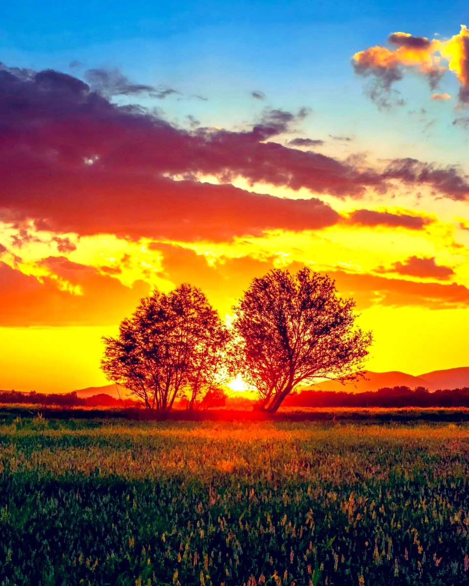 As work gets busier I have less and less time to come here, but it's all about finding a balance...🌟⭐️✨✨
📸©️ Farhad Koulivand,#IG,🍁🍂🍄