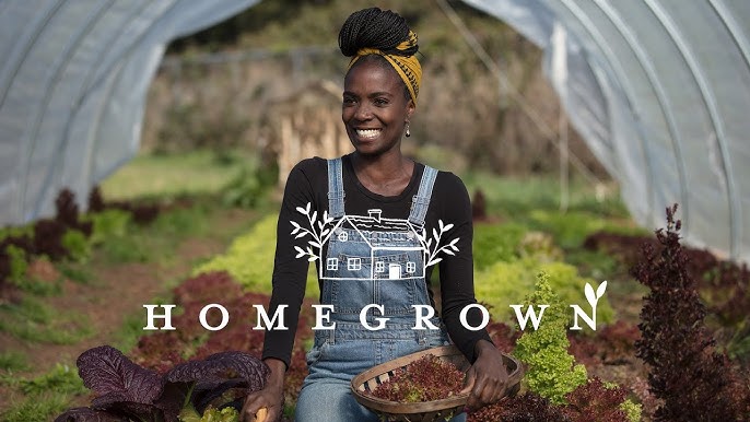 taigooden's tweet photo. If you are looking for something lovely to watch to take your mind off everything, check out Homegrown on Max. It follows Jamila Norman, a Black woman who left her engineering career to create an urban farm in Atlanta, as she helps others create gardens/farms in their own yards. https://t.co/OQrjoWmsCc