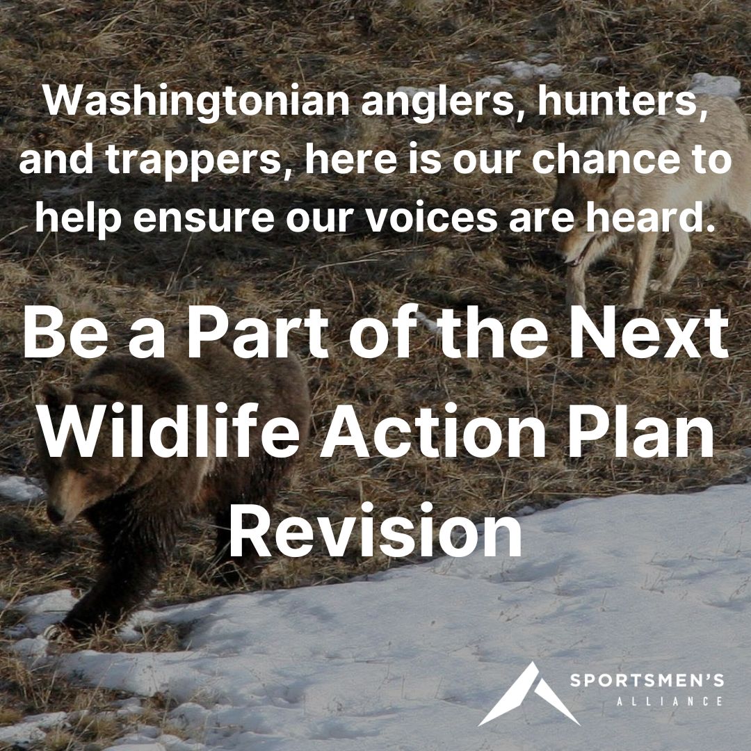 The Washington Department of Fish and Wildlife (WDFW) will conduct three surveys to get thoughts on what to consider in updating the Washington State Wildlife Action Plan (SWAP). The first of the three surveys is open until Friday, November 15.
sportsmensalliance.org/news/be-a-part…