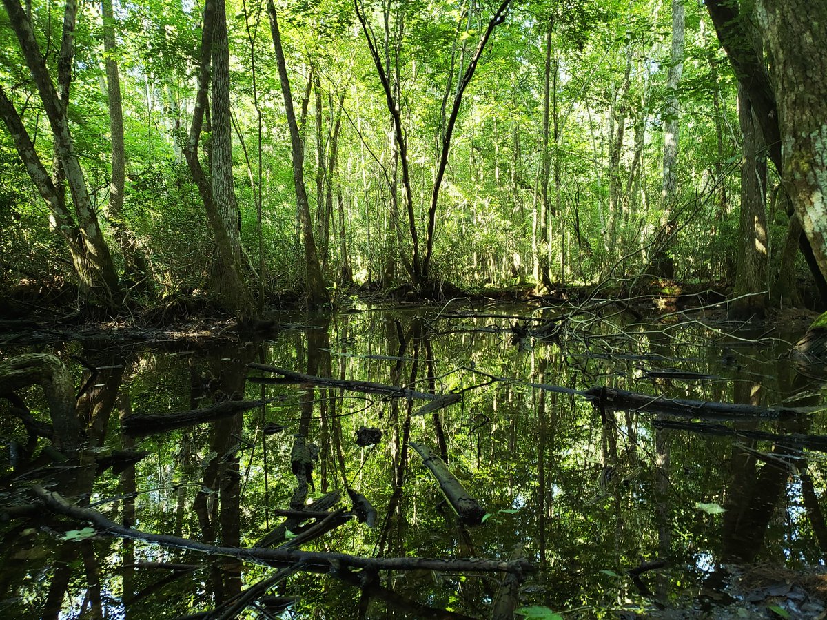 Marc A. Milne tweet media