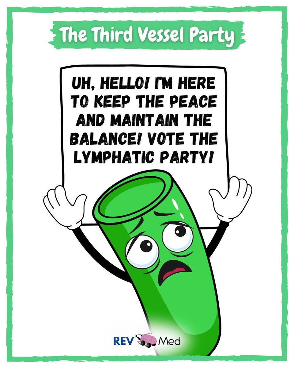 REVMED_'s tweet photo. Election Day… The Lymphatic Party https://t.co/nFT5yXkwKP